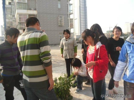 电脑刺绣打带培训